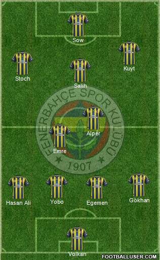 Fenerbahçe SK Formation 2013