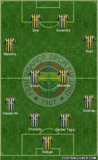 Fenerbahçe SK Formation 2013