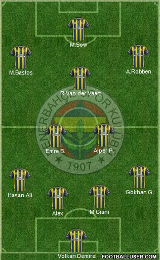 Fenerbahçe SK Formation 2013
