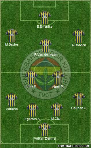 Fenerbahçe SK Formation 2013