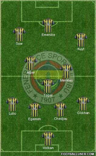Fenerbahçe SK Formation 2013