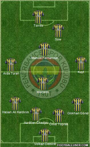 Fenerbahçe SK Formation 2013
