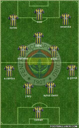 Fenerbahçe SK Formation 2013