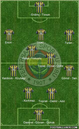 Fenerbahçe SK Formation 2013