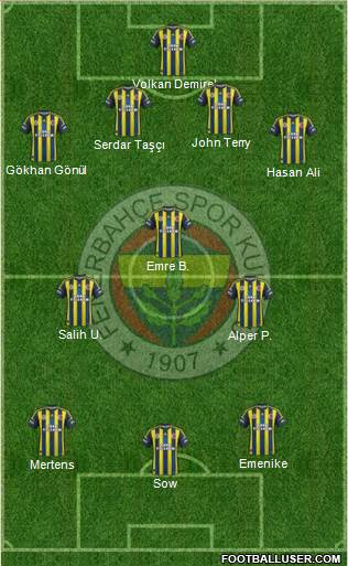 Fenerbahçe SK Formation 2013