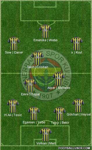 Fenerbahçe SK Formation 2013