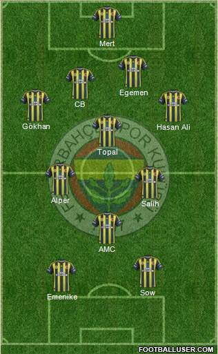 Fenerbahçe SK Formation 2013