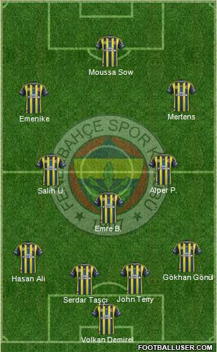 Fenerbahçe SK Formation 2013