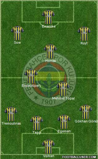 Fenerbahçe SK Formation 2013