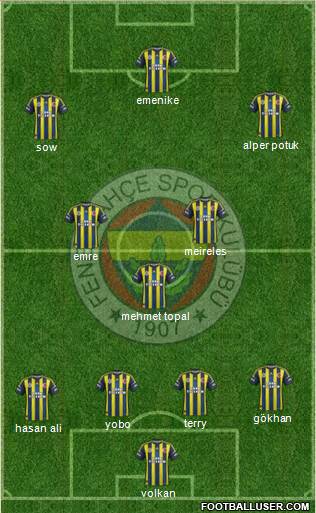 Fenerbahçe SK Formation 2013