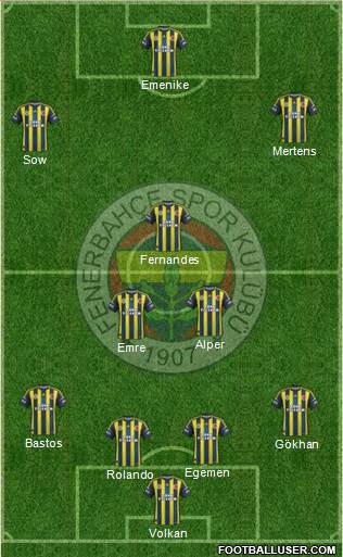Fenerbahçe SK Formation 2013