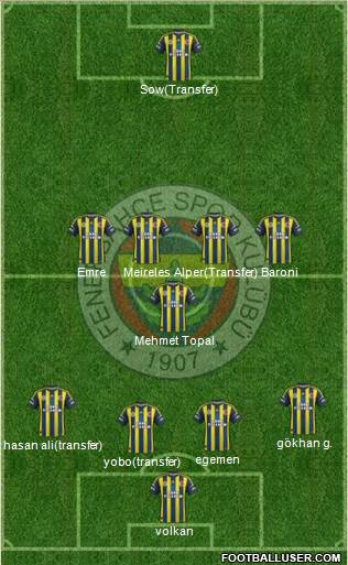 Fenerbahçe SK Formation 2013