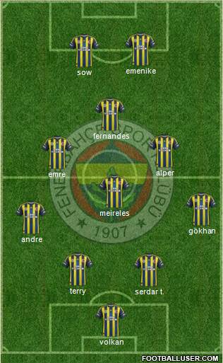 Fenerbahçe SK Formation 2013