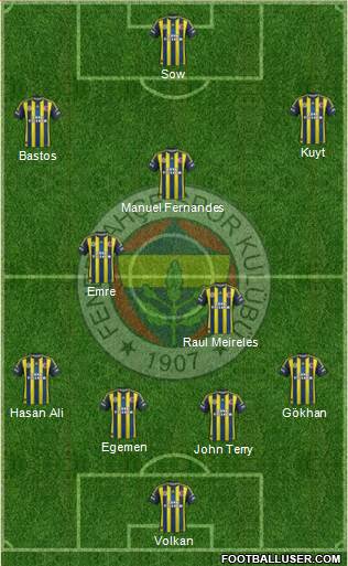 Fenerbahçe SK Formation 2013