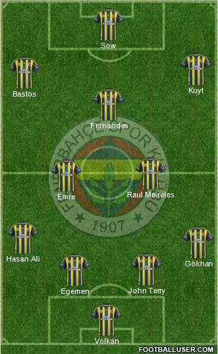 Fenerbahçe SK Formation 2013