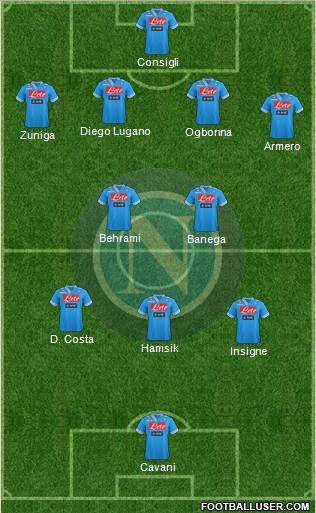 Napoli Formation 2013
