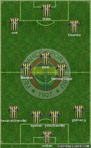 Fenerbahçe SK Formation 2013