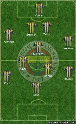 Fenerbahçe SK Formation 2013