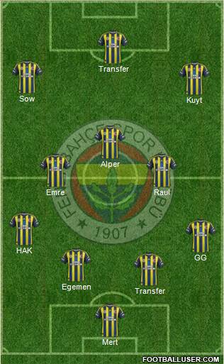 Fenerbahçe SK Formation 2013