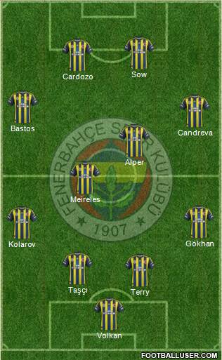 Fenerbahçe SK Formation 2013