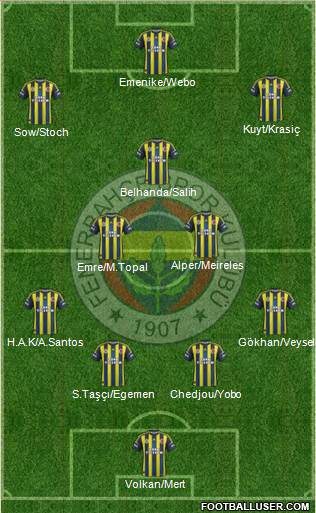 Fenerbahçe SK Formation 2013