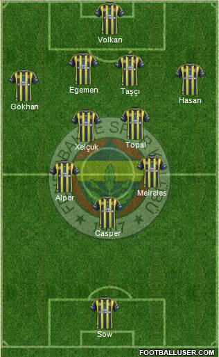 Fenerbahçe SK Formation 2013