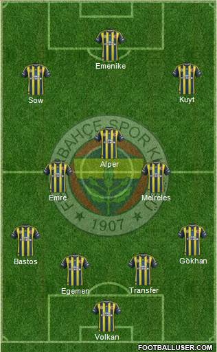 Fenerbahçe SK Formation 2013