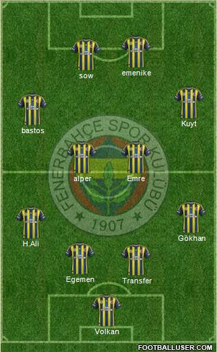 Fenerbahçe SK Formation 2013