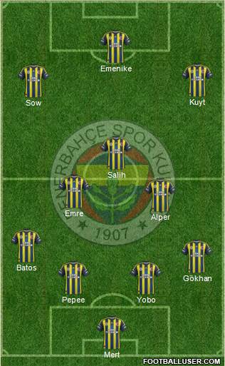 Fenerbahçe SK Formation 2013