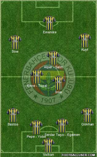 Fenerbahçe SK Formation 2013
