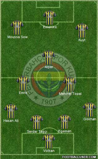 Fenerbahçe SK Formation 2013