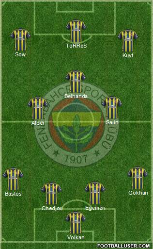 Fenerbahçe SK Formation 2013