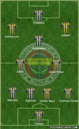 Fenerbahçe SK Formation 2013