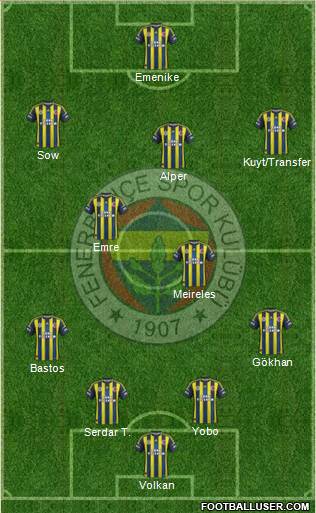 Fenerbahçe SK Formation 2013