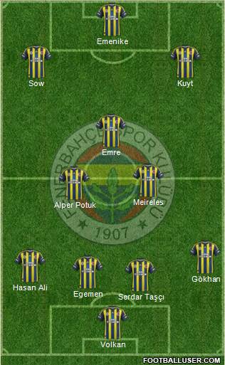 Fenerbahçe SK Formation 2013