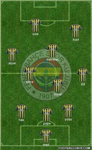 Fenerbahçe SK Formation 2013