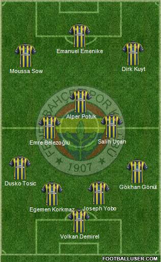 Fenerbahçe SK Formation 2013
