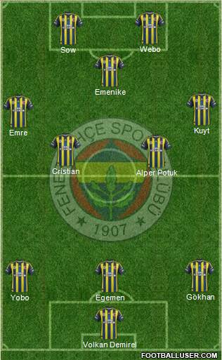 Fenerbahçe SK Formation 2013