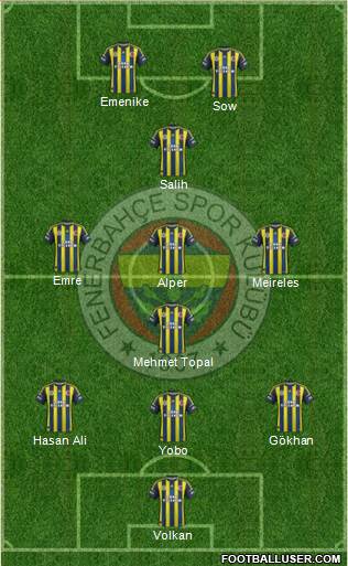 Fenerbahçe SK Formation 2013