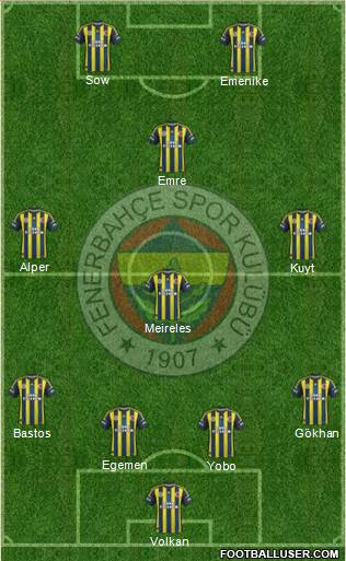 Fenerbahçe SK Formation 2013