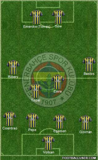 Fenerbahçe SK Formation 2013