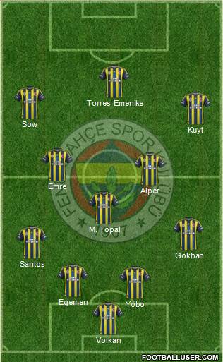 Fenerbahçe SK Formation 2013