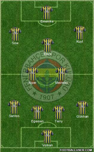 Fenerbahçe SK Formation 2013