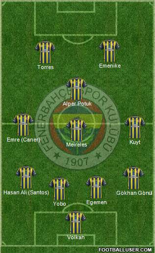 Fenerbahçe SK Formation 2013