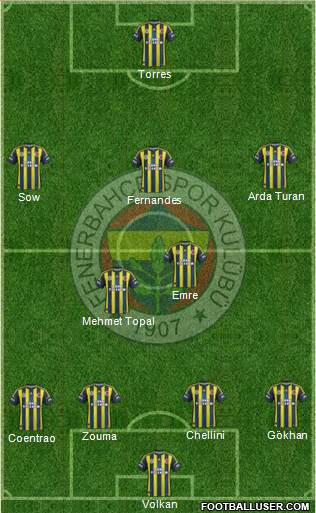Fenerbahçe SK Formation 2013
