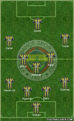 Fenerbahçe SK Formation 2013