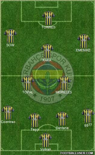 Fenerbahçe SK Formation 2013