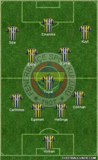 Fenerbahçe SK Formation 2013