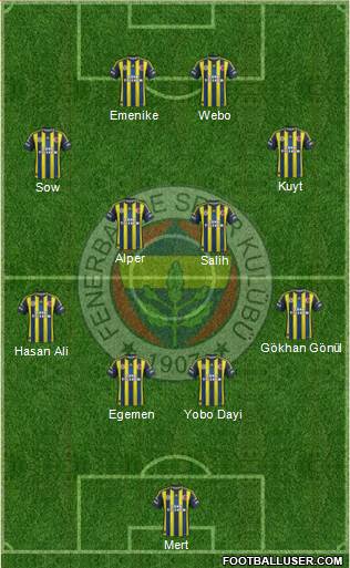 Fenerbahçe SK Formation 2013