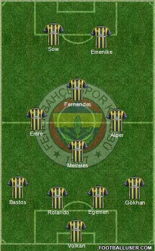 Fenerbahçe SK Formation 2013